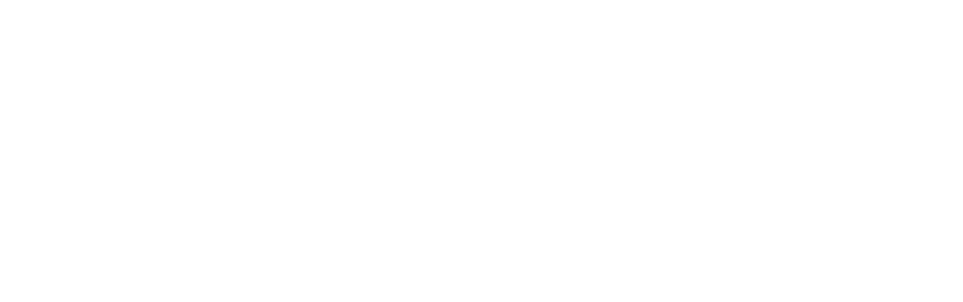 中国双质系列